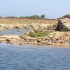 Marsala_2012 (277)